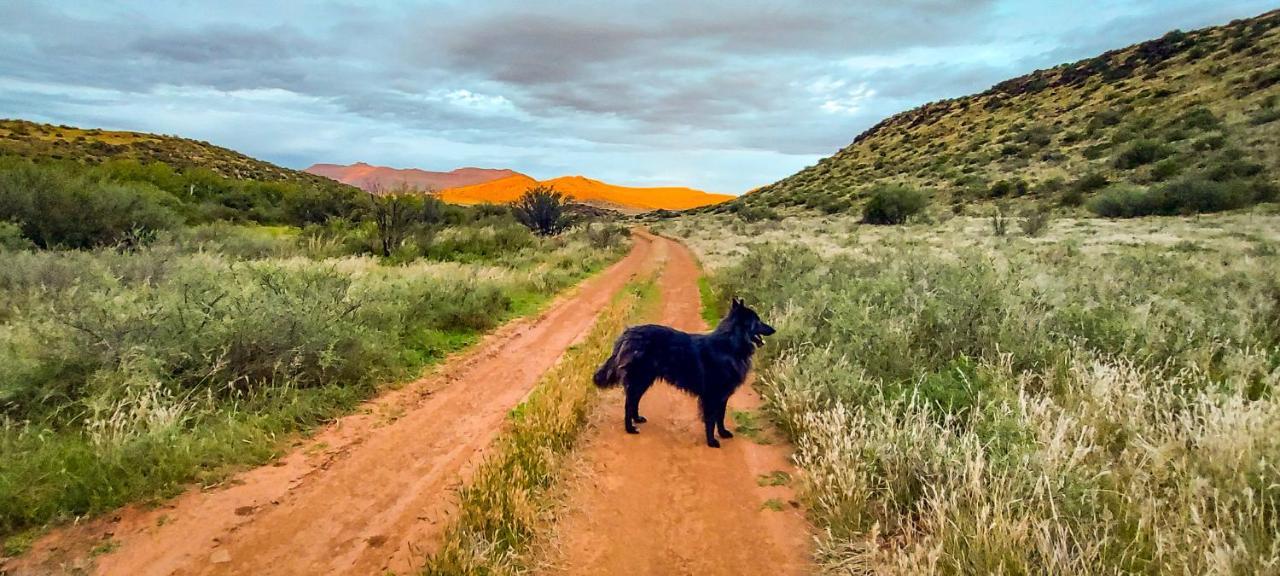 Karoo Ridge Eco-Lodges Middelburg  Buitenkant foto