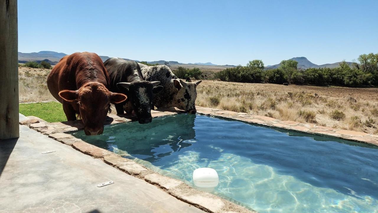 Karoo Ridge Eco-Lodges Middelburg  Buitenkant foto